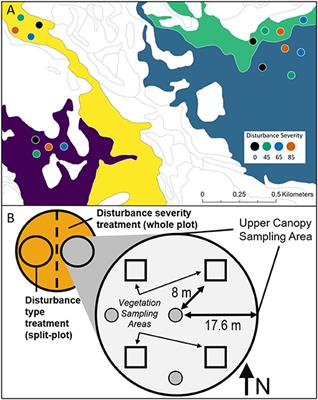 Structural complexity and primary production resistance are coupled in a temperate forest